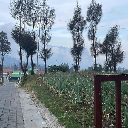פרובולינגו Bromo Semesta Guesthouse מראה חיצוני תמונה